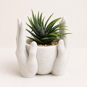 May include: A white planter shaped like two cupped hands holding a small green succulent plant with white horizontal stripes on its pointed leaves. The base of the plant is covered with small light-colored pebbles inside the white marble-textured pot.