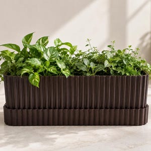 May include: A rectangular dark brown planter with a vertical ribbed texture and a matching base tray. The planter is filled with a variety of lush green houseplants, including pothos with variegated leaves and small-leafed trailing foliage.