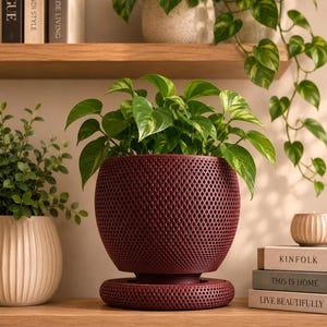 May include: A deep burgundy, spherical plant pot with a textured, diamond-patterned lattice exterior. The pot sits on a matching circular, perforated base tray. A vibrant green pothos plant with variegated leaves grows from the center of the pot.