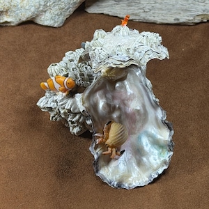 May include: A decorative oyster shell sculpture featuring a textured, barnacle-covered exterior and a smooth, iridescent interior. A small orange and white clownfish figurine is attached to the side, and a hermit crab figurine rests inside.