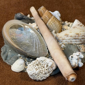 Tiny Ocean Sculptural Wall Charm | Hand Set Abalone Shells & Coral Hanging Medallion | Miniature Mixed Media Epoxy Clay Vacation Memento