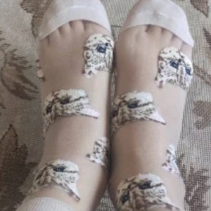 May include: A pair of sheer white socks with a delicate pattern of small white owls. The socks are made of a lightweight, breathable fabric and are perfect for everyday wear.