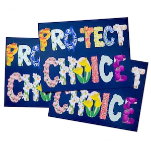Pocztówki GOTV, Pro-tect Choice, Progresywne kwestie Pocztówki Get Out The Vote, Aktywizm, Prawa reprodukcyjne, Wybory 2024, 100 szt.