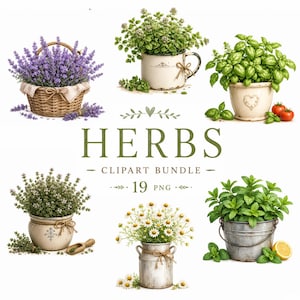 May include: A digital clipart bundle featuring various herbs and flowers in containers, including lavender in a woven basket, basil in a ceramic pot with tomatoes, mint in a metal bucket with lemon, and chamomile in a metal milk can, with the text HERBS CLIPART BUNDLE 19 PNG.