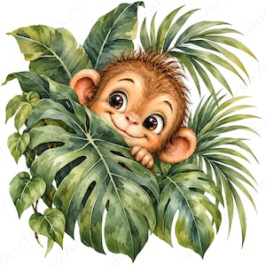May include: A brown monkey with large dark eyes and a small smile peeking out from behind a cluster of lush green tropical leaves, including large monstera and palm fronds, rendered in a detailed illustration style on a white background.