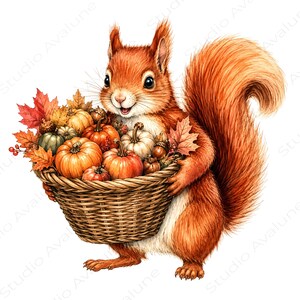 Könnte beinhalten: Eine Aquarellillustration eines roten Eichhörnchens, das einen geflochtenen Weidenkorb mit orangefarbenen und weißen Kürbissen, Eicheln und Herbstblättern in Rot-, Gelb- und Brauntönen hält. Das Eichhörnchen hat einen buschigen Schwanz und eine weiße Brust.