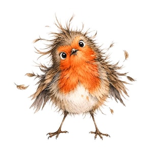 Könnte beinhalten: Eine Aquarellillustration eines kleinen, flauschigen Rotkehlchens mit zerzaustem braunem und grauem Gefieder. Der Vogel hat eine leuchtend orangefarbene Brust, einen weißen Bauch und große, weit geöffnete Augen, umgeben von losen Federn.