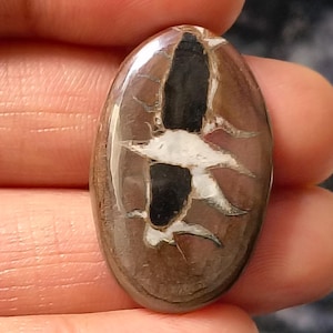 black septarian cabochon unique, naturally patterned gemstones cut with a smooth, domed top and flat back for jewelry making. 23Cst.28X18MM