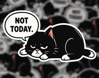 Not Today Cat Sticker | Funny grumpy cat | Waterproof vinyl decal