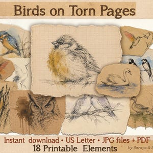 May include: A collection of 18 printable digital elements titled Birds on Torn Pages, featuring various bird illustrations on textured, grid-lined, and plain paper scraps. The set includes sketches of a kingfisher, hummingbirds, a swan, and an owl.