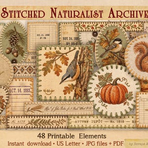 May include: A collection of 48 printable digital elements titled Stitched Naturalist Archive, featuring vintage-style illustrations of pumpkins, squirrels, birds, acorns, and wheat on textured fabric backgrounds with decorative stitching and text.