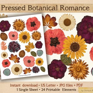 Könnte beinhalten: Eine digitale Sammlung gepresster botanischer Elemente mit dem Titel Pressed Botanical Romance, die verschiedene getrocknete Blumen und Blätter in tiefen Violett-, leuchtenden Orange-, Gelb- und sanften Grüntönen auf weißem Grund zeigt.
