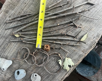Oak, thin delicate  Coast Live oak  sticks , sacred wood sticks, craft wood various size,oak stang, druid wood , natural wood sticks, F4