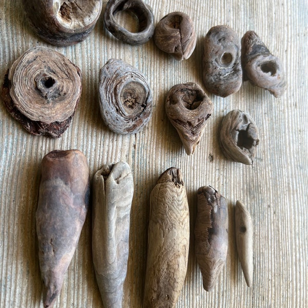 Fourteen driftwood knots , knot wood pieces, California driftwood, assemblage wood carving wood