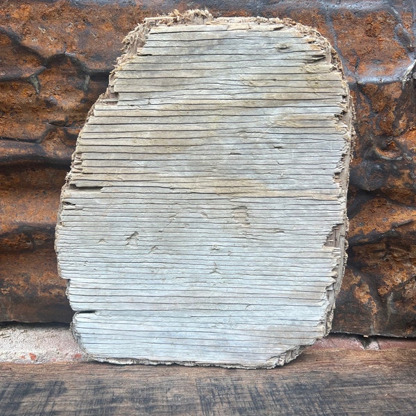 Flat driftwood plywood  pieces, California driftwood assemblage supplies wood sculpture supplies
