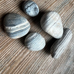 California Beach stones,  striped stones, nature display stones, gray and white beach stones