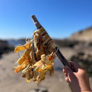Sun bird Driftwood talking stick, fabric wrapped talking stick,  driftwood wand, braided natural dyed yarn ritual wand