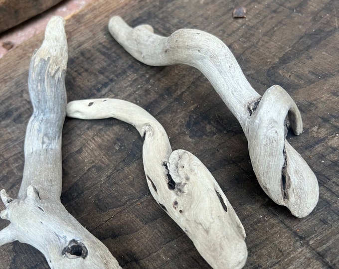 Driftwood Roots, Small Wood Roots, California Driftwood Roots, Root ...