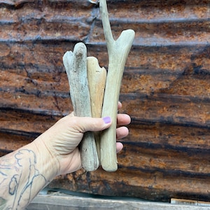 May include: Three pieces of driftwood, varying in size and shape, with a natural, weathered finish. The driftwood is held in a hand with a tattoo.