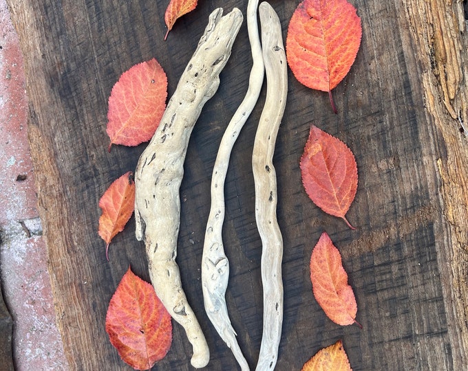 Driftwood Roots, Small Wood Roots, California Driftwood Roots, Root ...