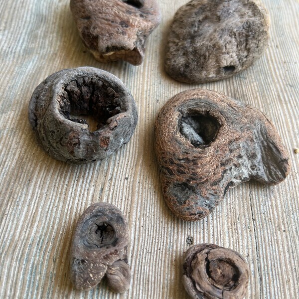 Six driftwood knots , knot wood pieces, California driftwood, assemblage wood