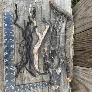May include: Assortment of driftwood pieces in various shapes and colors, including black, light brown, and dark brown. A metal ruler is placed next to the driftwood for scale. The wood is arranged on a weathered wooden surface.