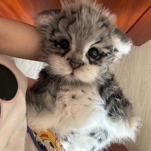May include: A plush toy resembling a snow leopard cub with long, soft, grey and white fur featuring dark grey spots. The toy has large, round, black eyes, a small pink nose, and a fluffy texture covering its head, ears, and body.