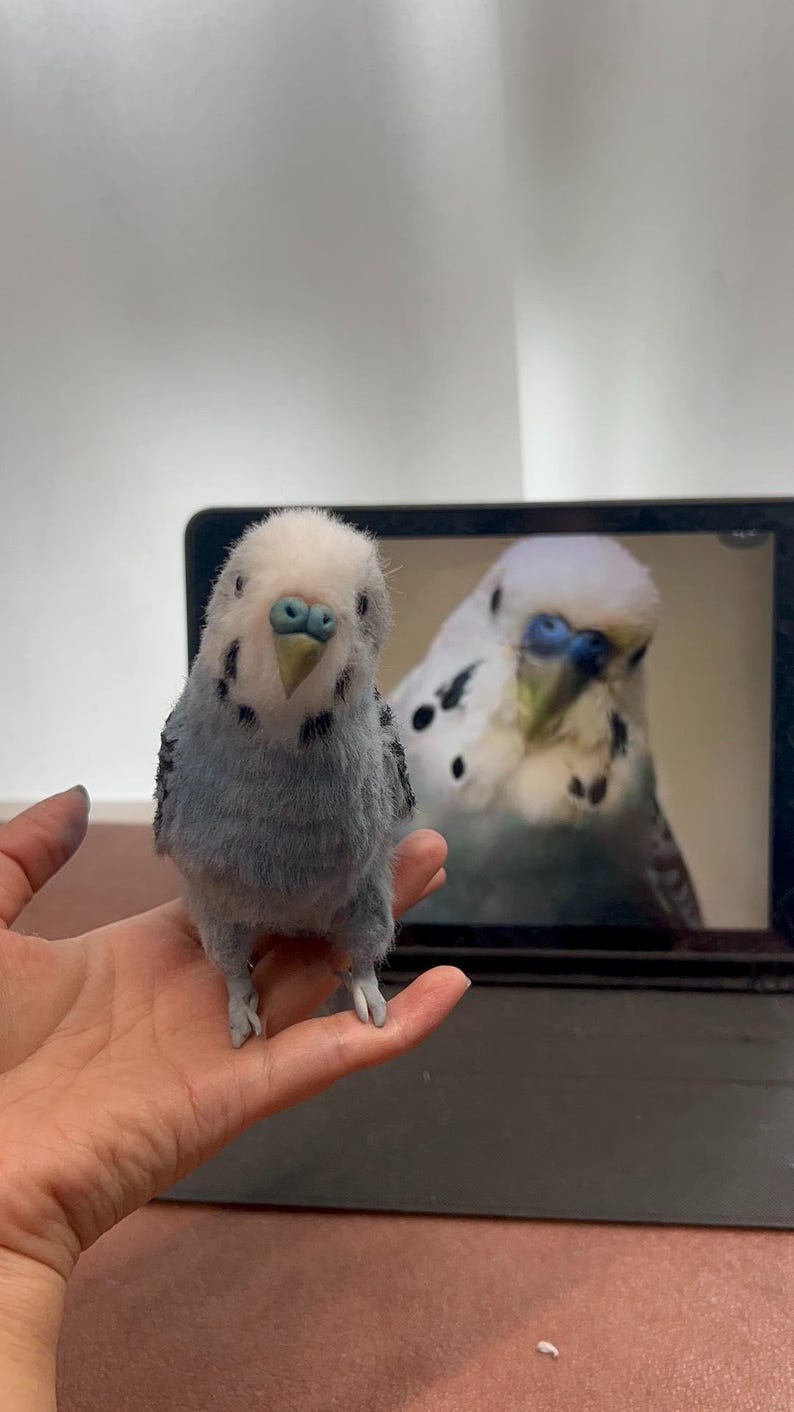 Puede incluir: Una peque&ntilde;a figura realista de periquito hecha con fieltro de aguja, con cabeza blanca, pecho azul claro y marcas grises y negras en las alas. El p&aacute;jaro tiene un pico claro y una cera azul, reflejando la imagen de un periquito en una tableta.