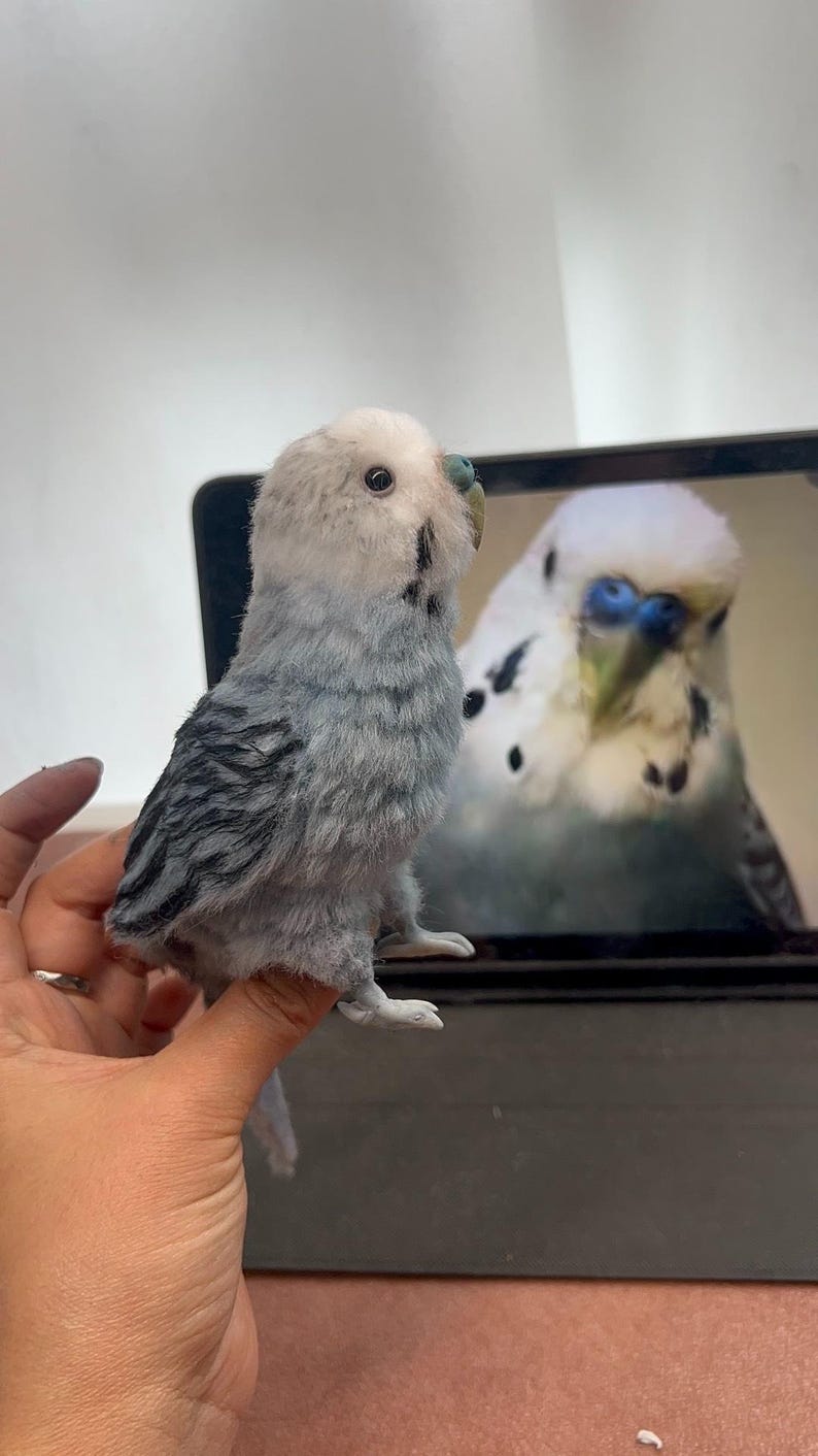 Puede incluir: Una peque&ntilde;a figura de periquito de lana fieltrada realista con cabeza blanca, cuerpo gris y azul y marcas negras en las alas. El p&aacute;jaro tiene un peque&ntilde;o pico verde azulado y est&aacute; colocado frente a una pantalla que muestra una foto de un ave.