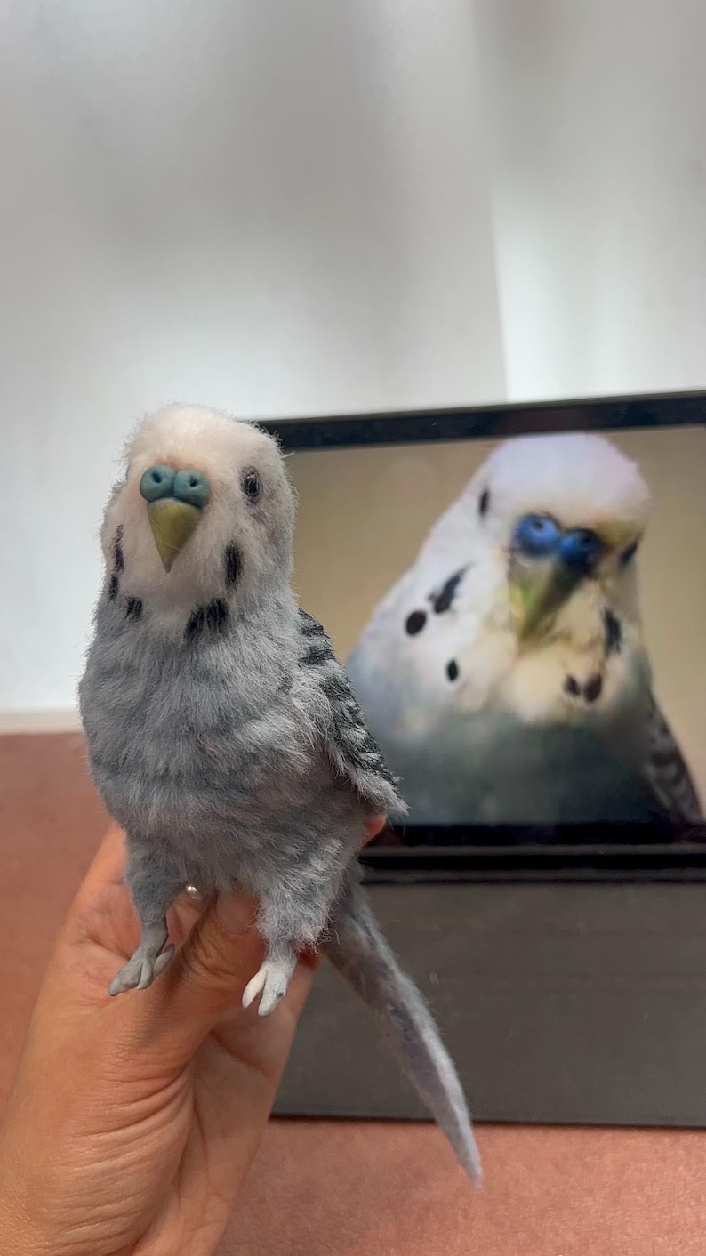 Pájaro mascota personalizado, periquito o cotorra personalizado, réplica de pájaro hecha a mano a partir de una foto, regalo conmemorativo de pájaro mascota (limpiapipas) imagen 3