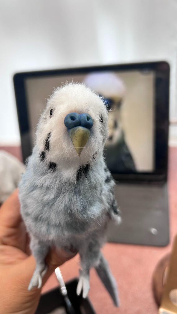 Custom Pet Bird, Personalized Budgie or Parakeet, Handmade Bird Replica from Photo, Pet Bird Memorial Gift (Pipe Cleaner)