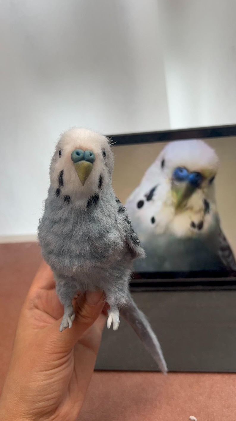 Pájaro mascota personalizado, periquito o cotorra personalizado, réplica de pájaro hecha a mano a partir de una foto, regalo conmemorativo de pájaro mascota (limpiapipas) imagen 8