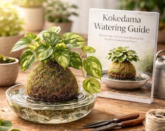 Kokedama Watering & Care Guide | Master The Submersion Method Step-by-Step | Printable Plant Care PDF