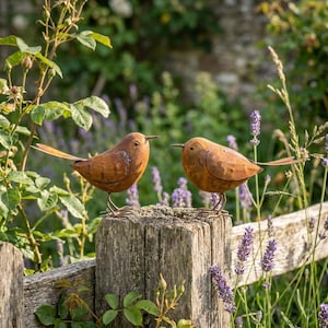 Könnte beinhalten: Zwei rostfarbene Metallvogel-Skulpturen, die auf einem verwitterten Holzzaunpfosten sitzen. Jeder Vogel hat einen runden Körper, einen spitzen Schnabel und einen schlanken Schwanz mit einer texturierten, oxidierten, erdbraunen Oberfläche.