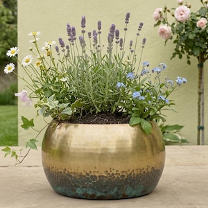 May include: A round, hammered brass planter with a smooth gold-toned upper section and a dark, oxidized teal-green patina at the base. The planter is filled with a variety of plants, including purple lavender, white daisies, and blue flowers.