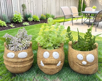 Funny Face planterpot, schattige tuinplantcontainer, buitentuindecor, terrasveranda gazon sappig bloempot cadeau