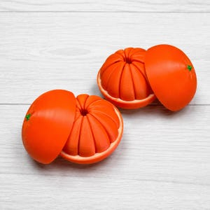 Op de afbeelding: Twee oranje, bolvormige objecten die lijken op gesegmenteerde citrusvruchten. Elk object bestaat uit een gladde, ronde buitenschaal en een binnenkern met meerdere verticale ribbels, met een klein groen accent aan de bovenzijde.