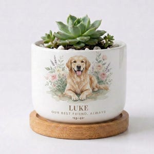 Personalized Dog Cat Sympathy Planter, Watercolor Flower Pot, Pet Loss Keepsake, Rainbow Bridge Pet Remembrance Gift