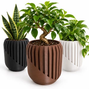 May include: Three cylindrical plant pots in black, brown, and white, each featuring a vertical ribbed texture on the exterior. The pots contain a snake plant, a small ficus bonsai tree, and a pothos plant with variegated green and yellow leaves.