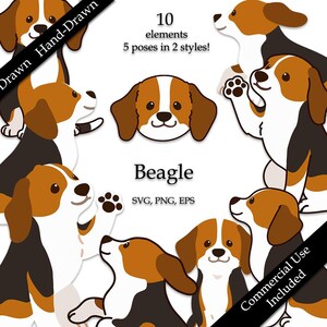 Pode incluir: Uma coleção digital de 10 ilustrações de beagles desenhadas à mão com 5 poses em 2 estilos. O conjunto gráfico inclui várias figuras de cachorros beagle com marcas castanhas, brancas e pretas, rotuladas com o texto Beagle, SVG, PNG, EPS.
