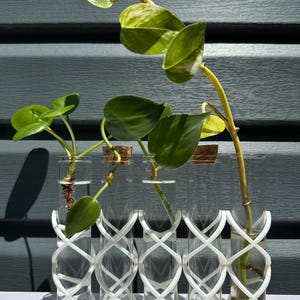 Modern Geometric Test Tube Holder for Plant Propagation & Display - Modular