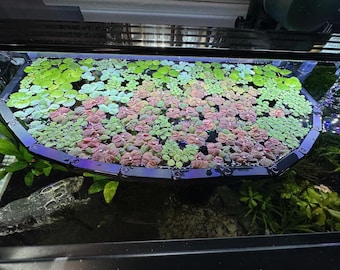 Modular Floating Ring for Aquarium