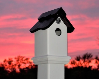 Weatherable all PVC Birdhouse to cap a 4 x 4 PVC post, outdoor, functional, virtually maintenance free, PVC . made in Buffalo . Hand painted
