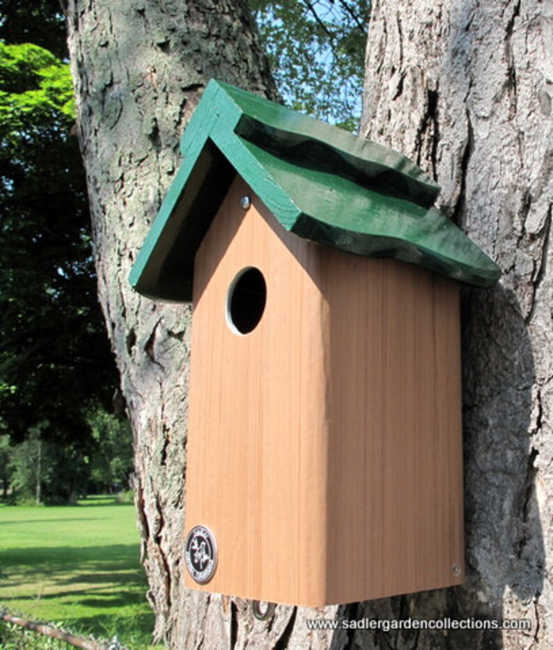 Modern Bluebird House PVC Cedar Bird House Fully Functional Etsy
