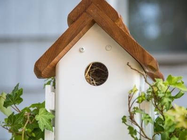 PVC Ivy tower, unique planter, cleanable bird house, bird feeder, suet holder, US made, functional garden accent, PVC free standing planter image 4