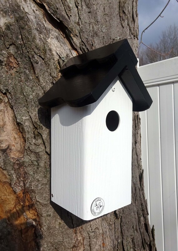 Bluebird House Pvc Cedar Bird House Fully Functional Etsy