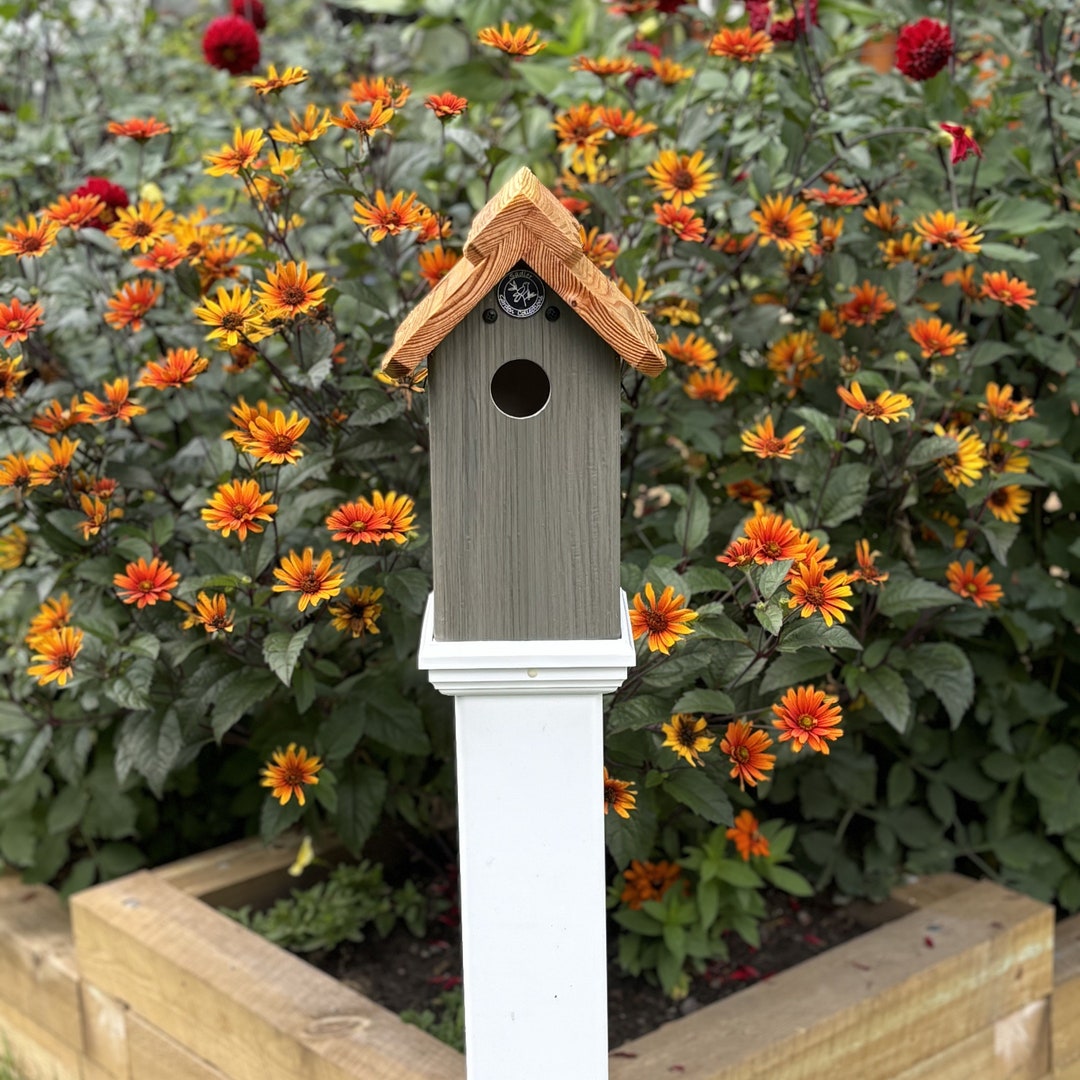 Weatherproof Wood & PVC Birdhouse, Arbor Blend, 4-inch PVC Fence Post ...