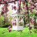 see more listings in the PVC Bird Feeders section