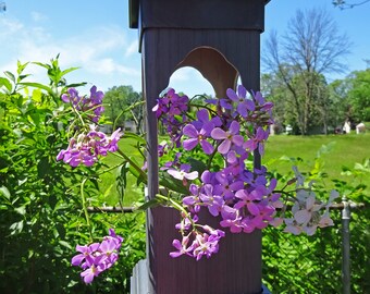 Woodgrain hanging PVC planter, weatherable, decorative, small lantern, fairy garden ez fill, ez clean, small durable planter, Made in USA