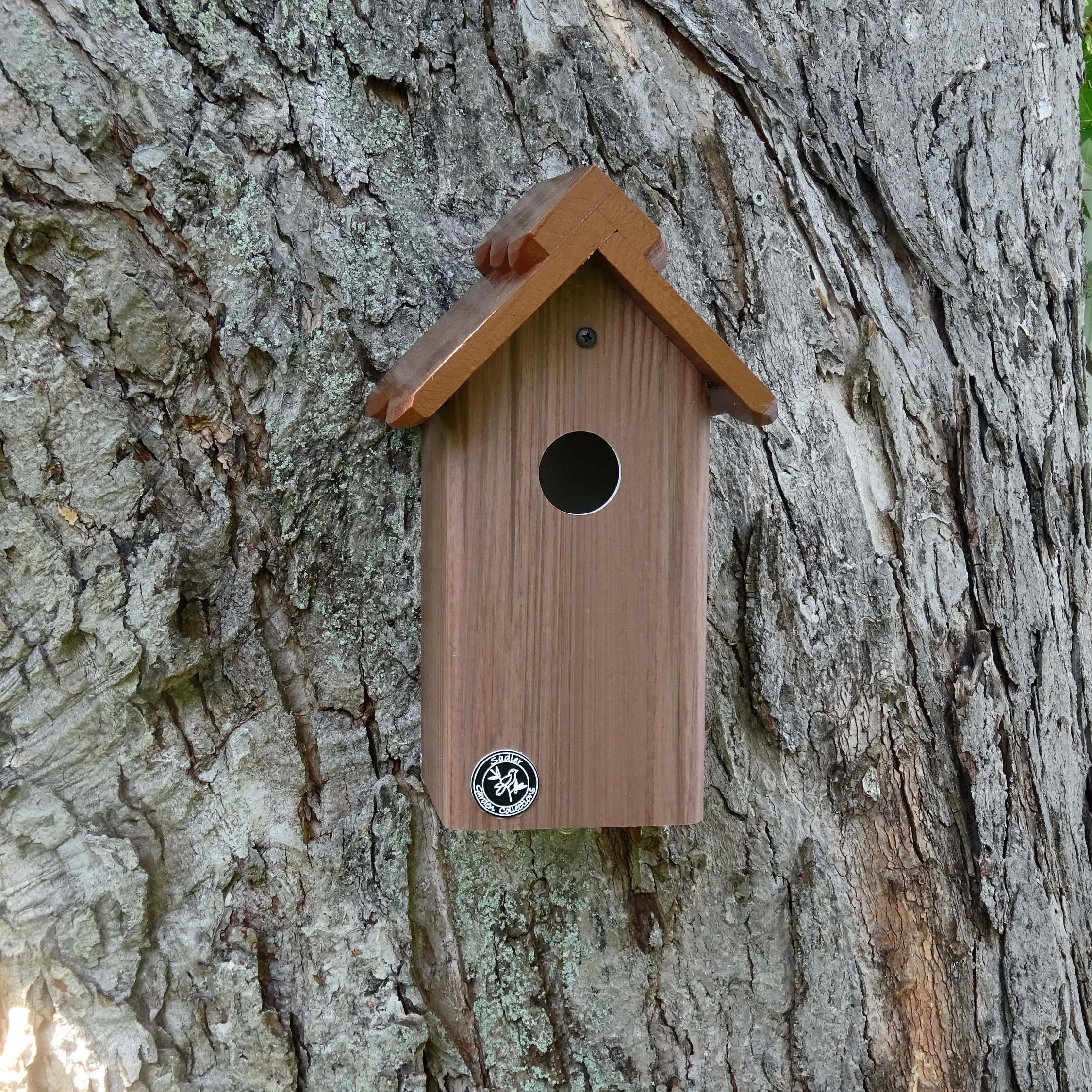 Bluebird house, modern, weatherable, PVC cedar outdoor bird house fully